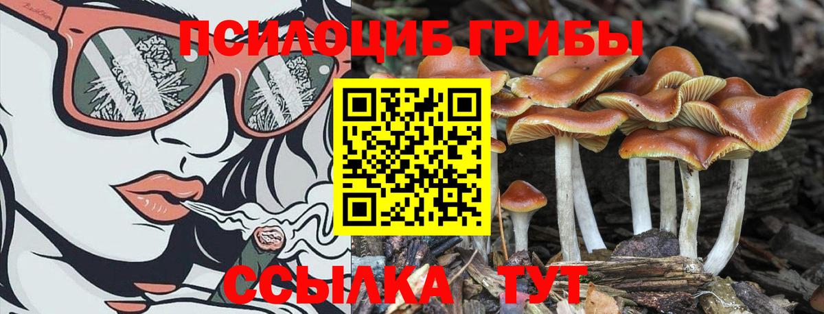 Псилоцибиновые грибы ЛСД  Псилоцибиновые грибы Psilocybine cubensis  Каспийск  Вход с VPN 
